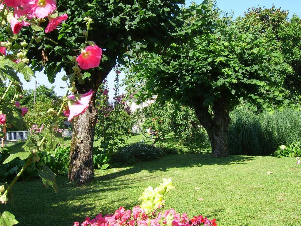 Hotel Les Pavillons Du Golf Evian-les-Bains Luaran gambar