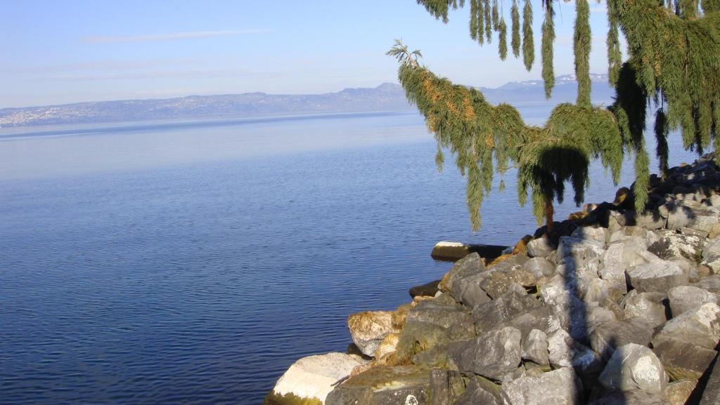 Hotel Les Pavillons Du Golf Evian-les-Bains Luaran gambar
